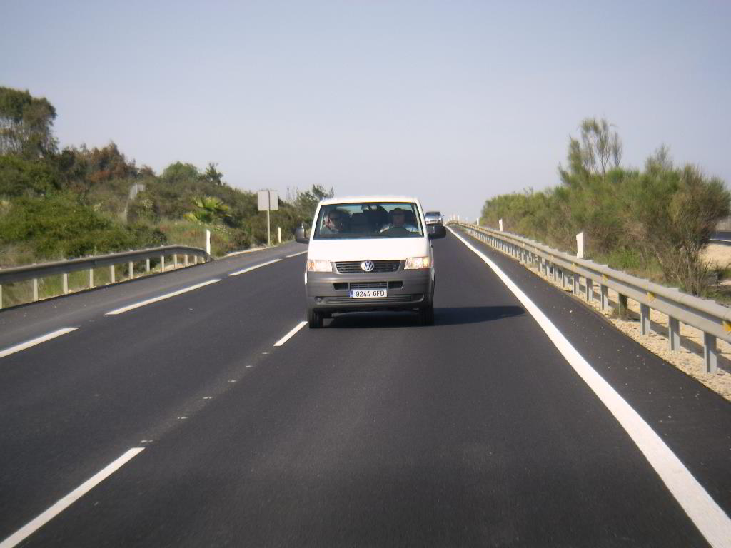 Back