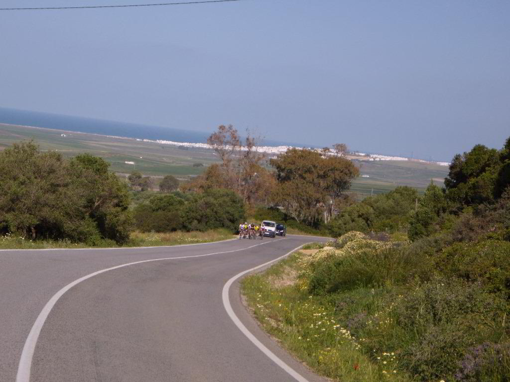 Back