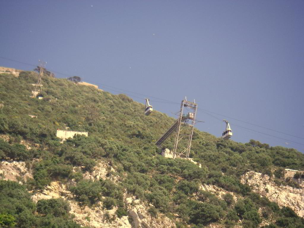 Back