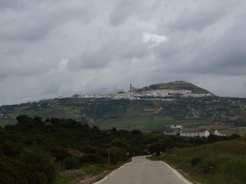 Back