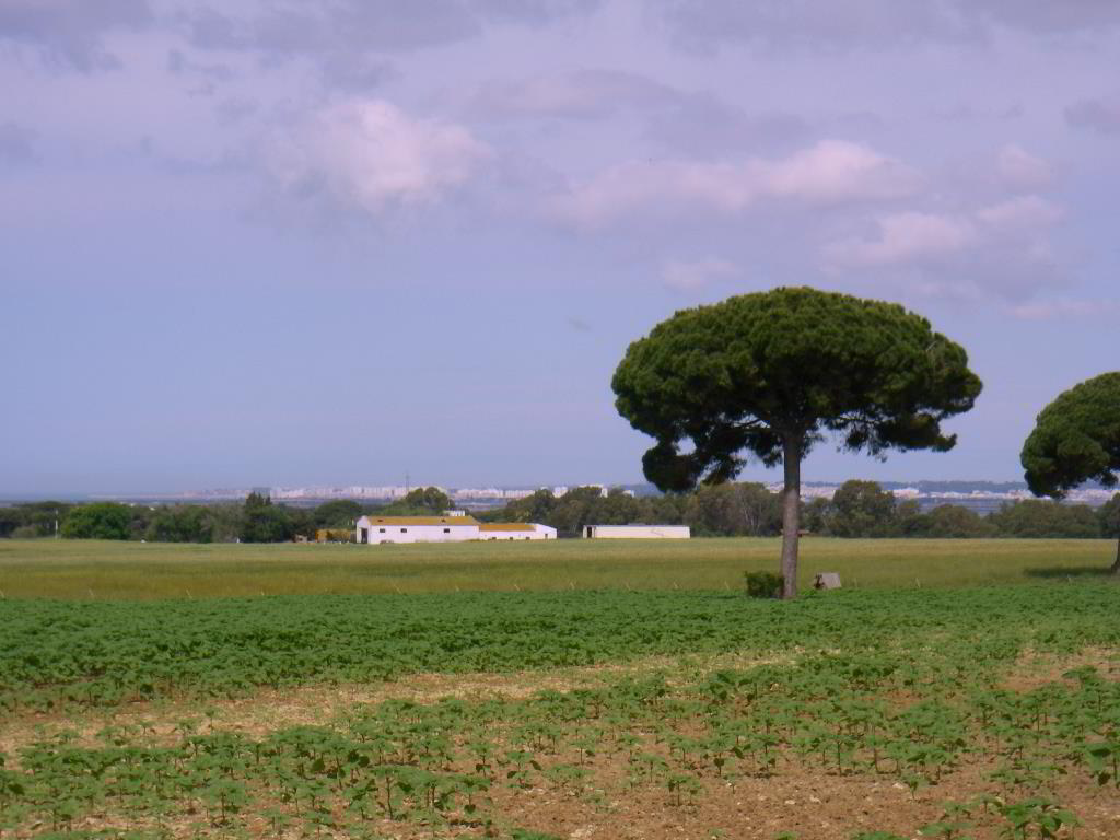 Back