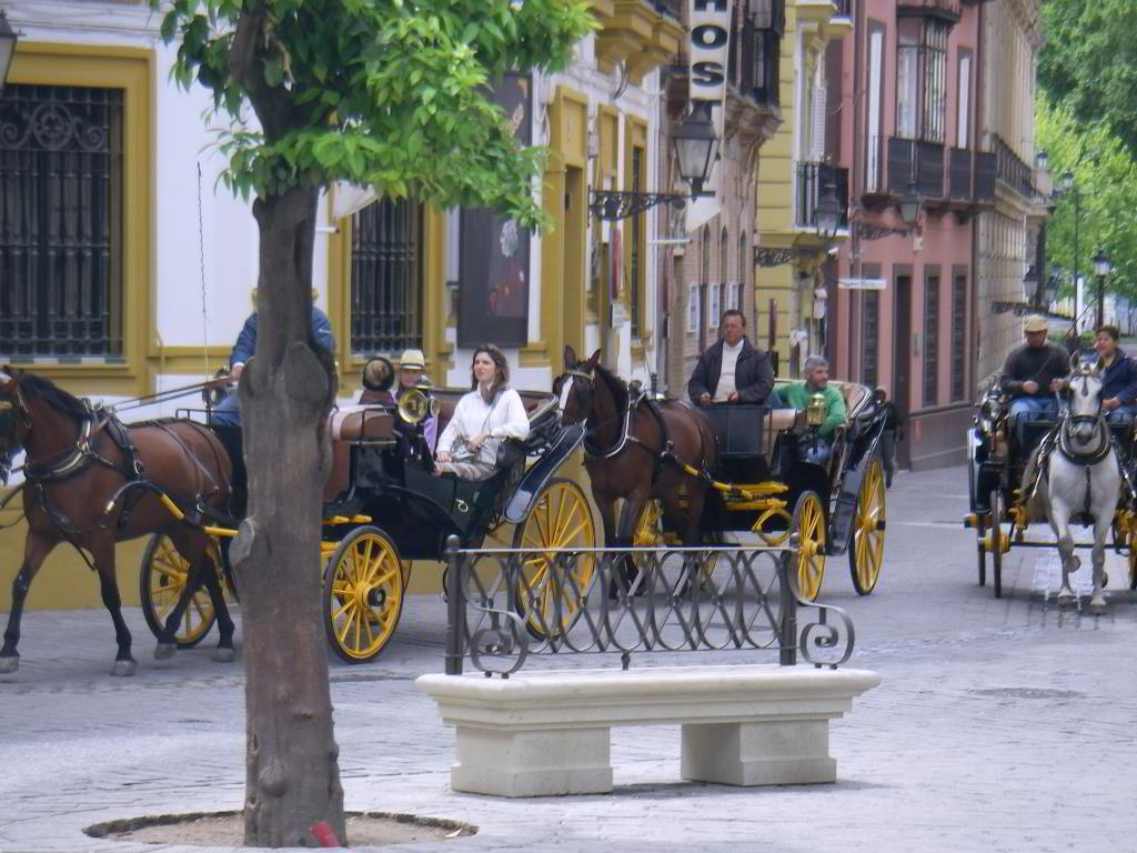 Back