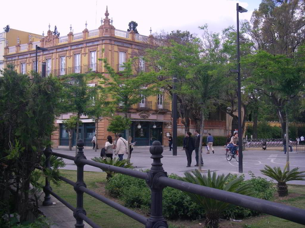 Back