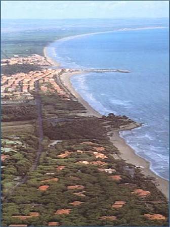 Original image
