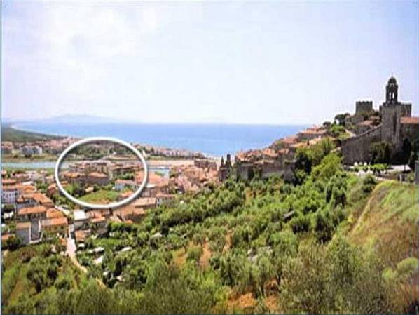 Original image