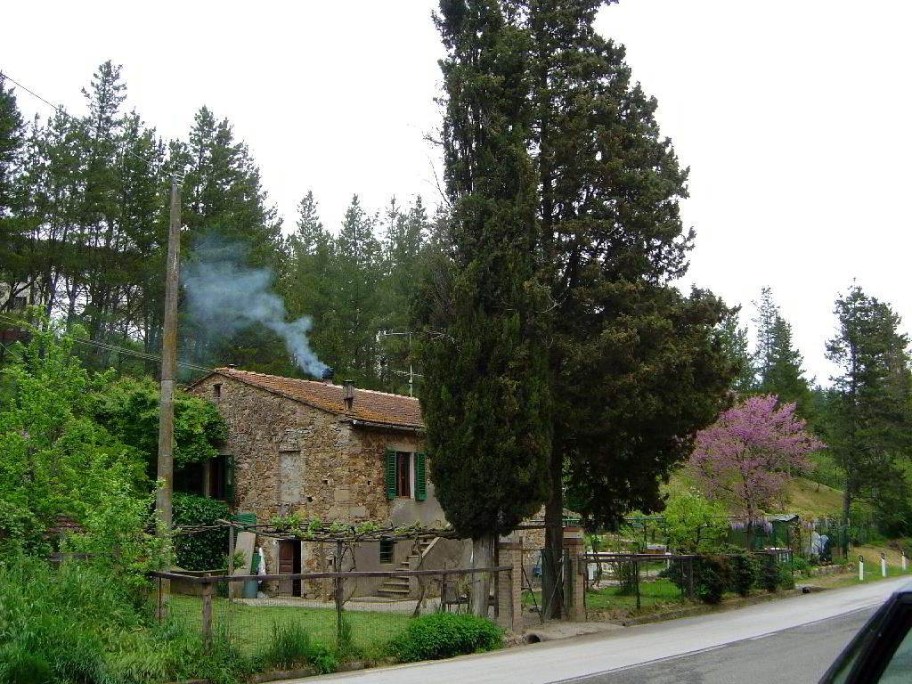 Back