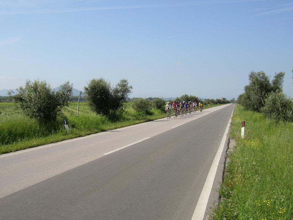Back
