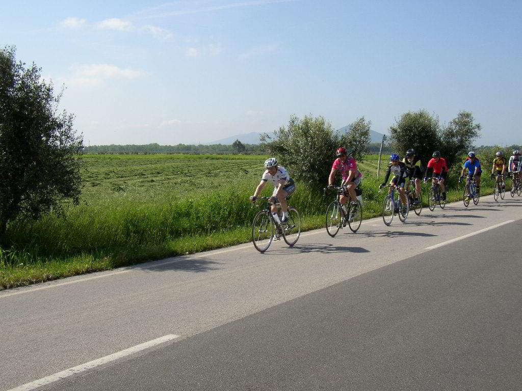 Back