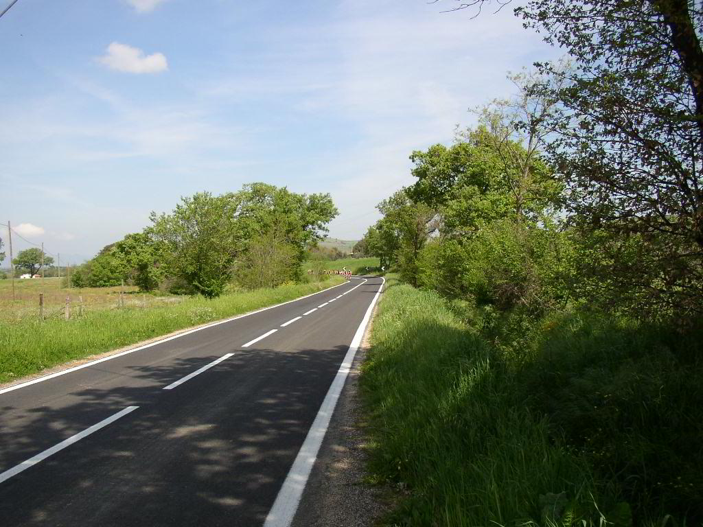 Back