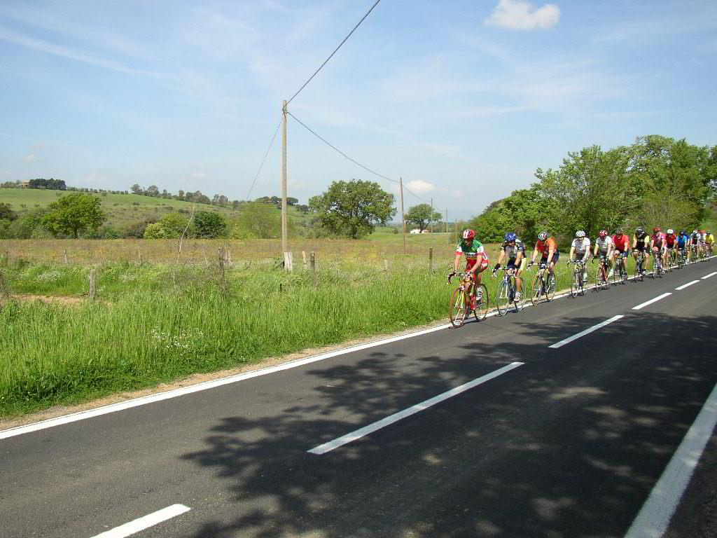Back