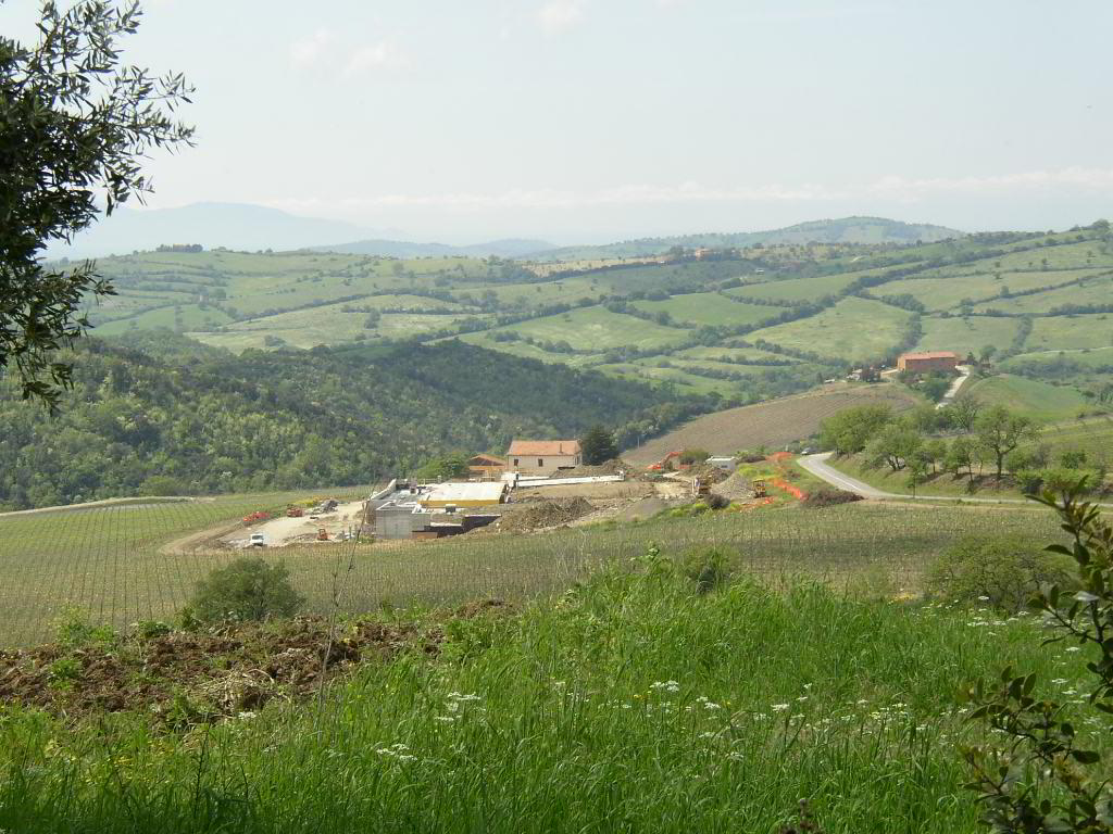 Back