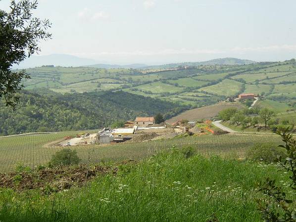 Original image