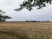 Klicken Sie auf das Bild, um es zu vergr&ouml;&szlig;ern