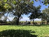 Klicken Sie auf das Bild, um es zu vergr&ouml;&szlig;ern