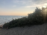 Klicken Sie auf das Bild, um es zu vergr&ouml;&szlig;ern