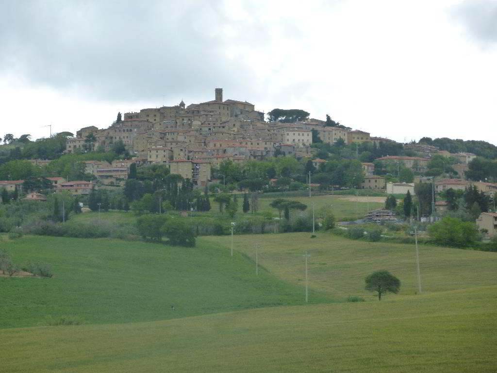 Back
