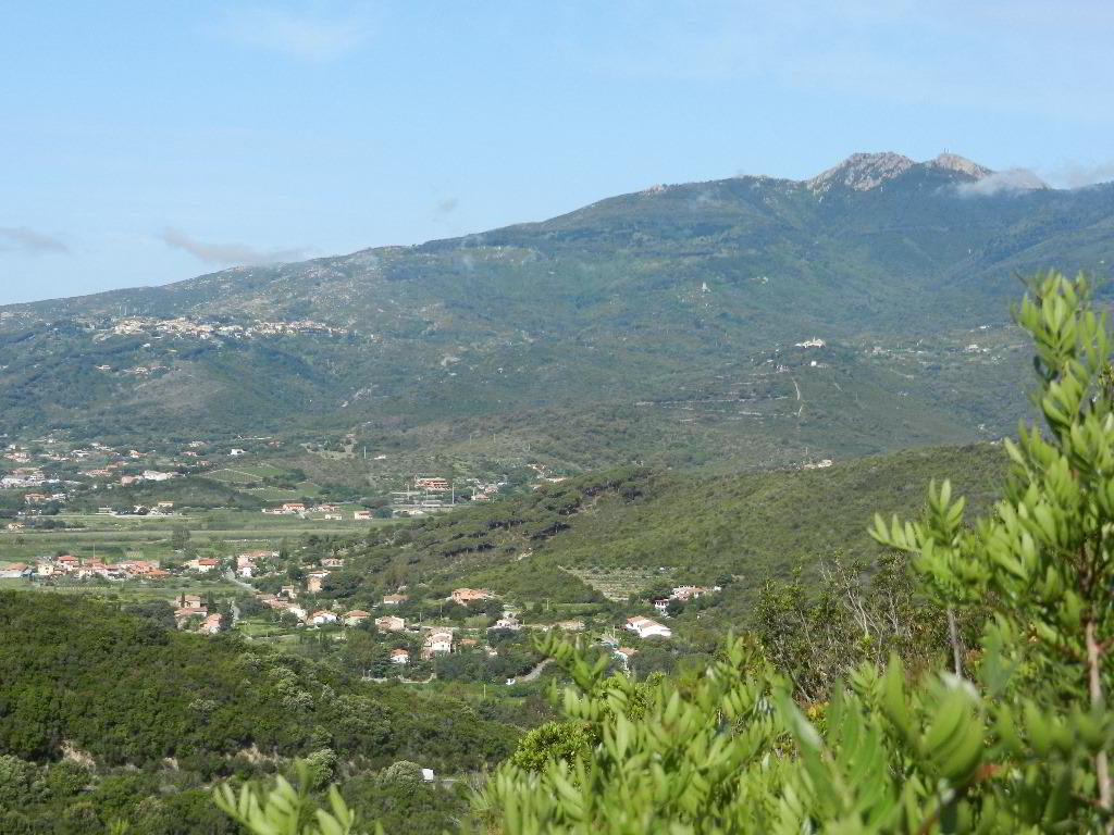 Back
