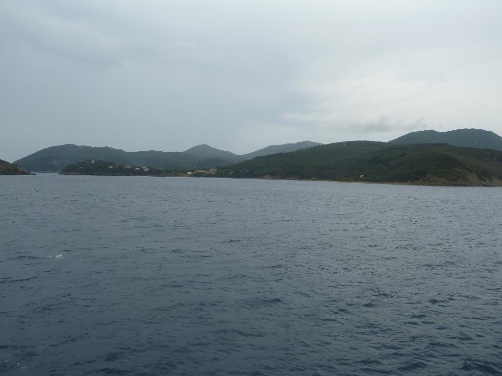 Back