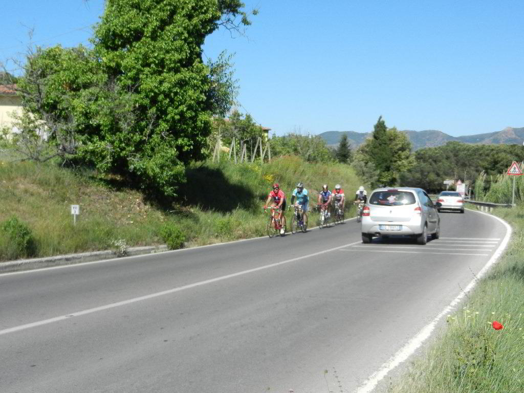 Back