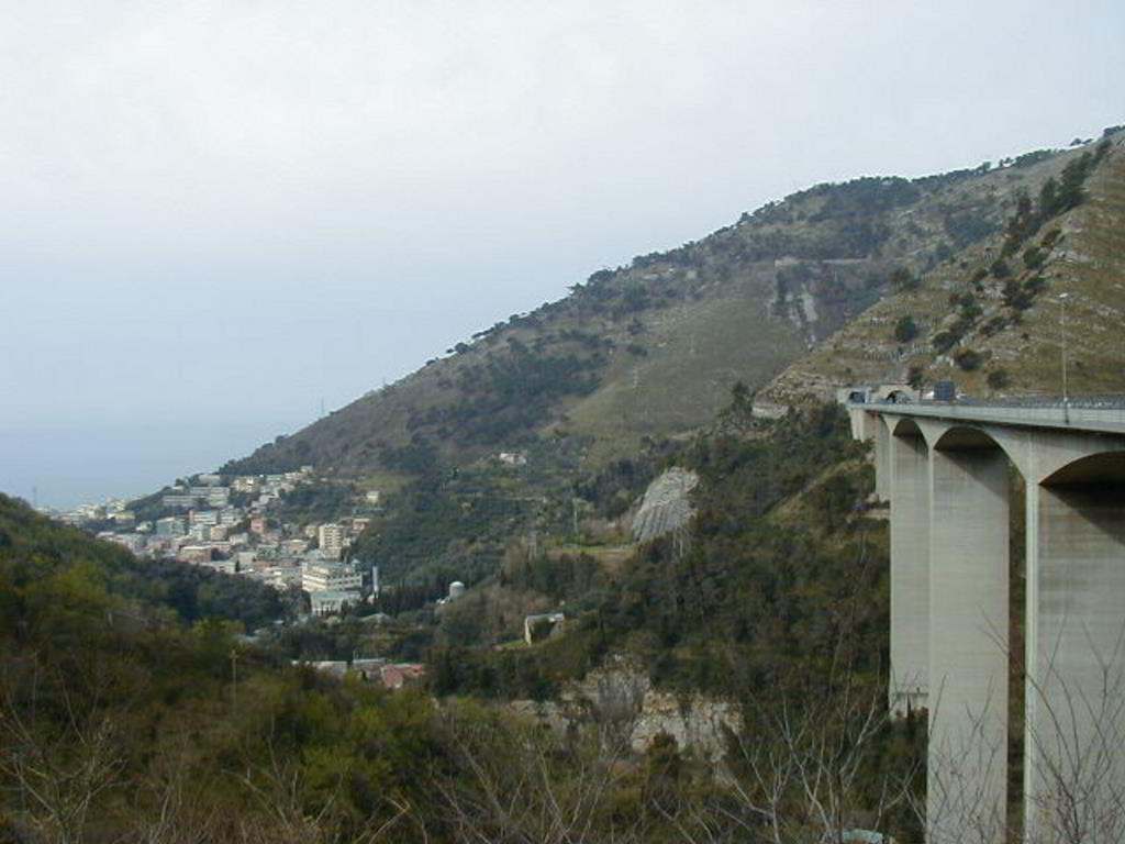 Back