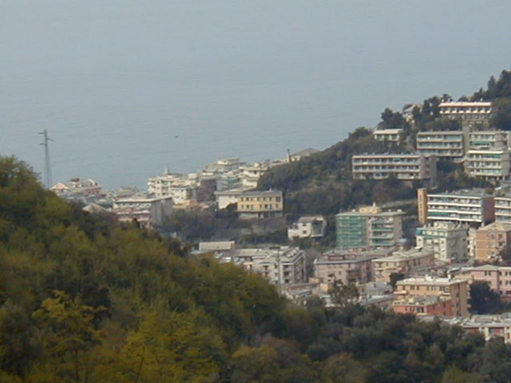 Back