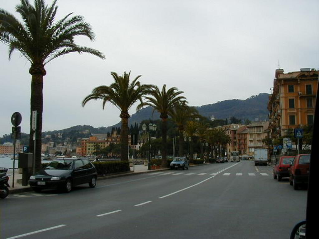 Back