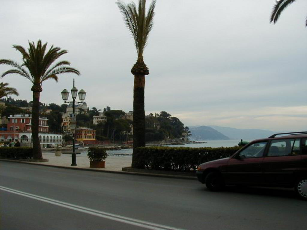 Back