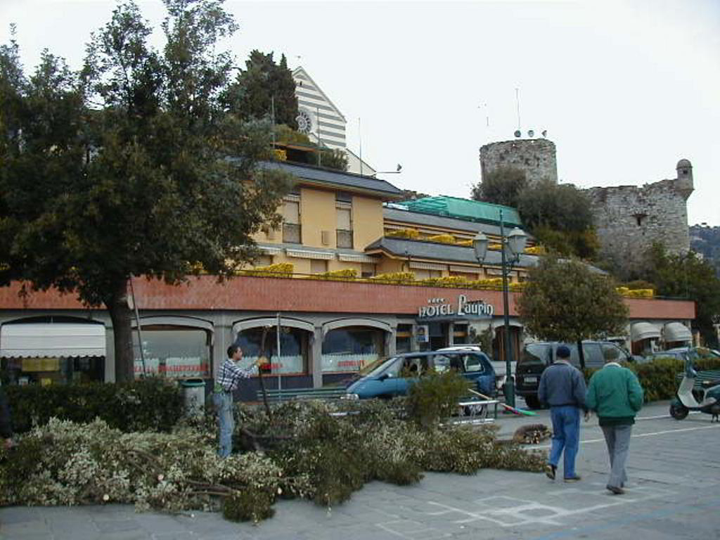 Back
