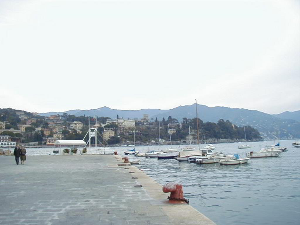 Back