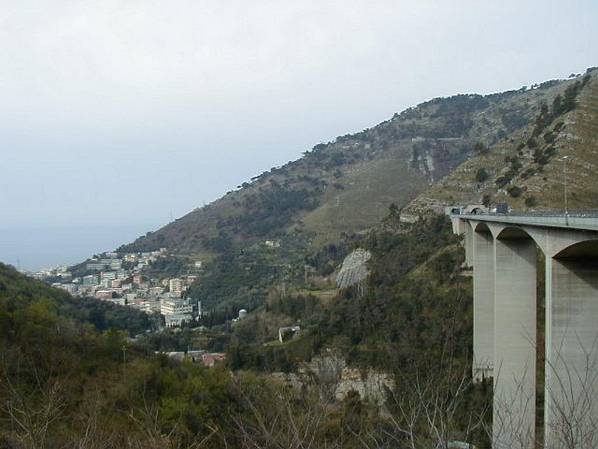 Original image
