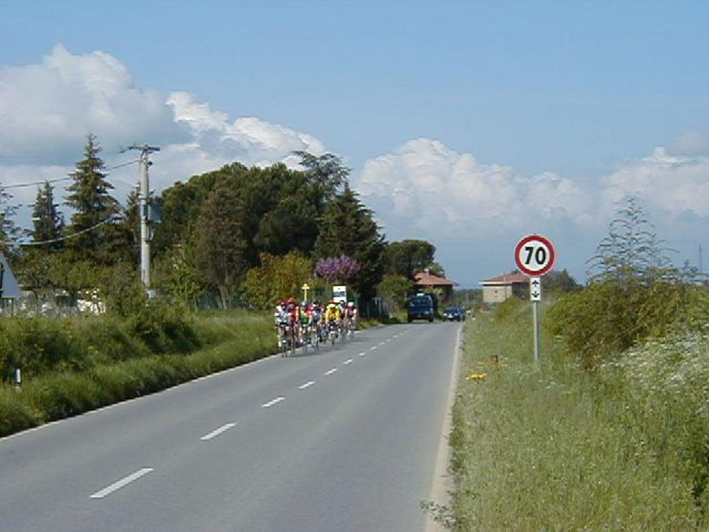 Back