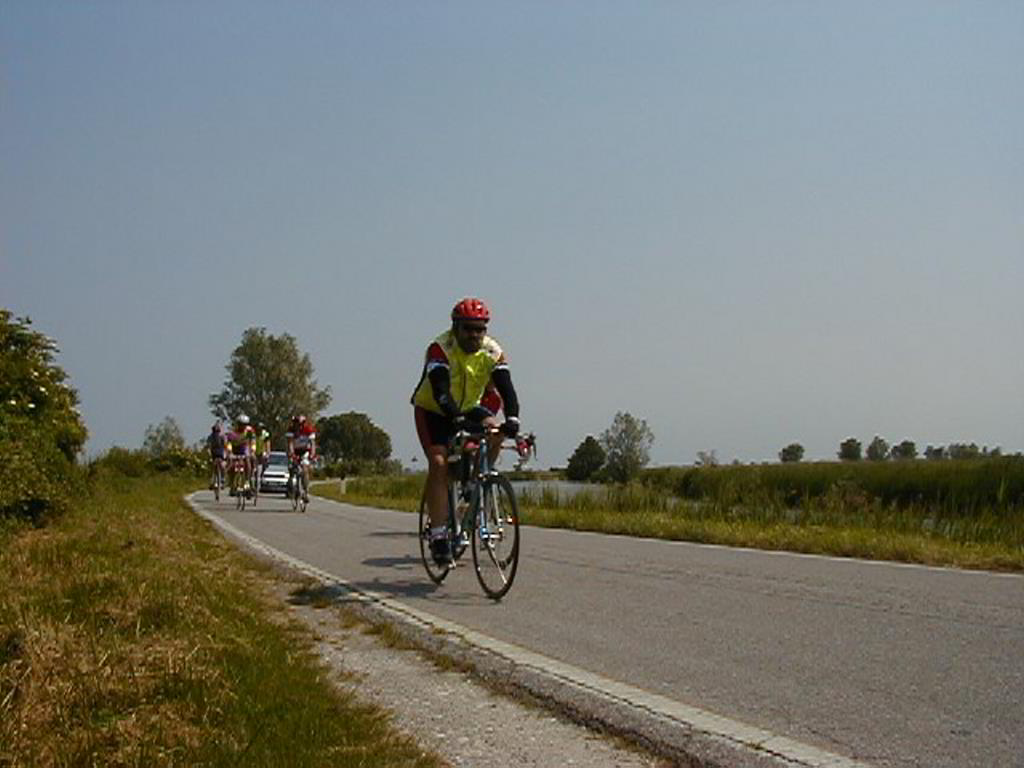 Back