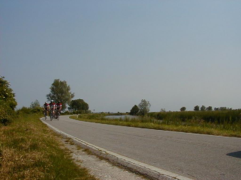 Back