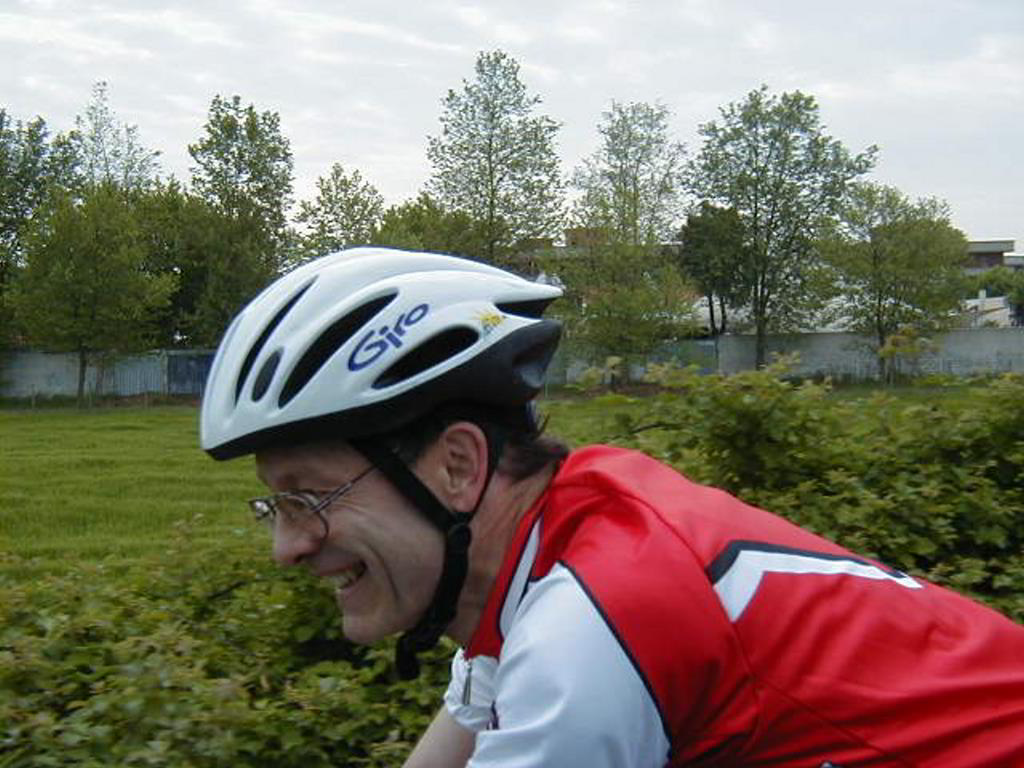 Back
