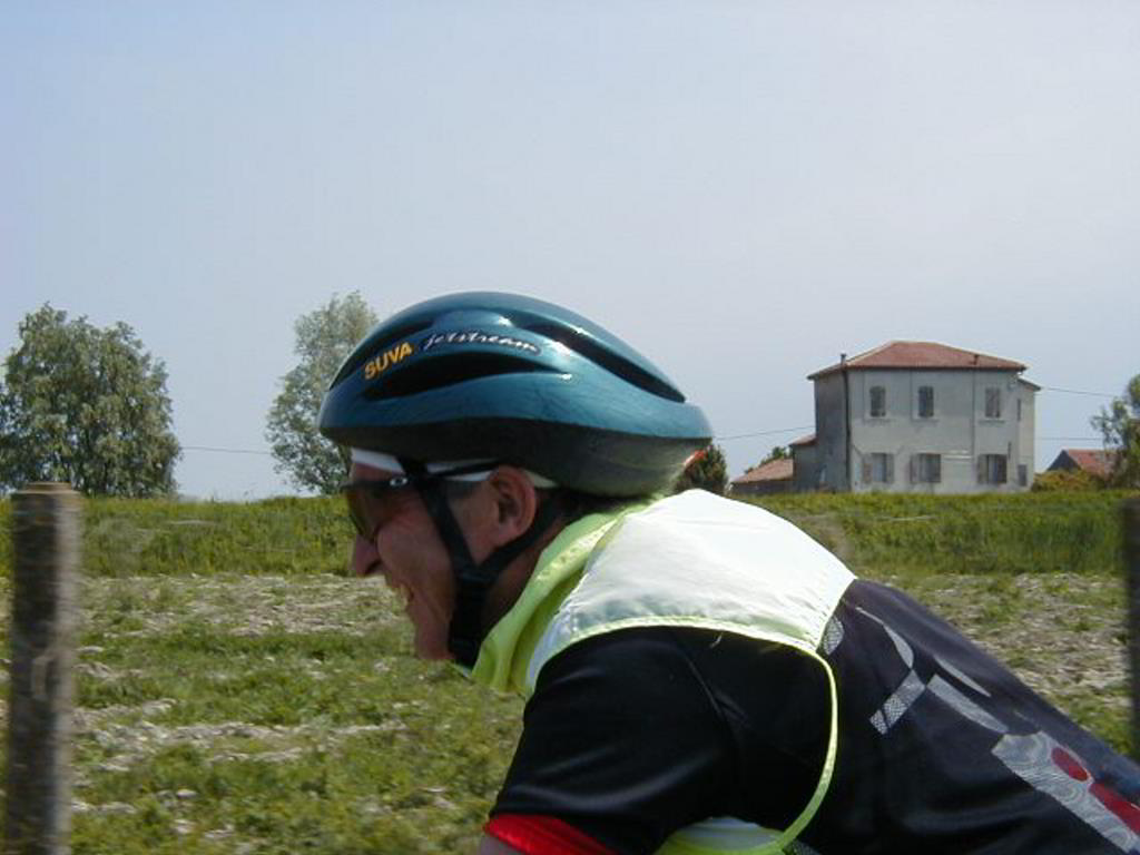 Back