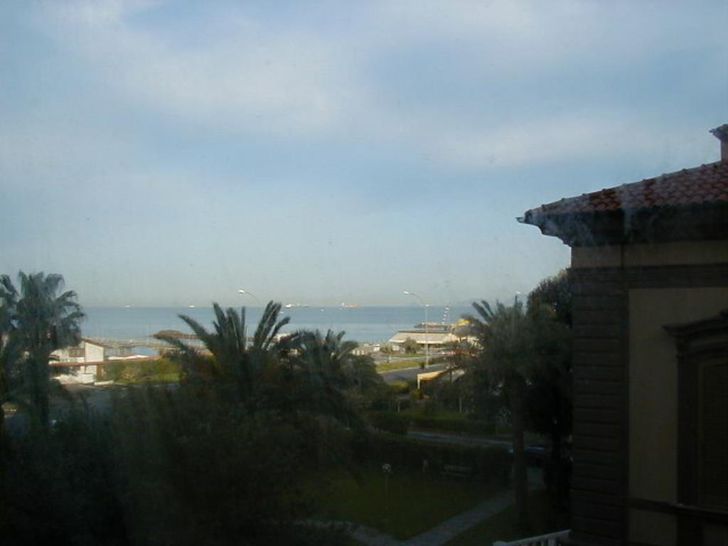 Back