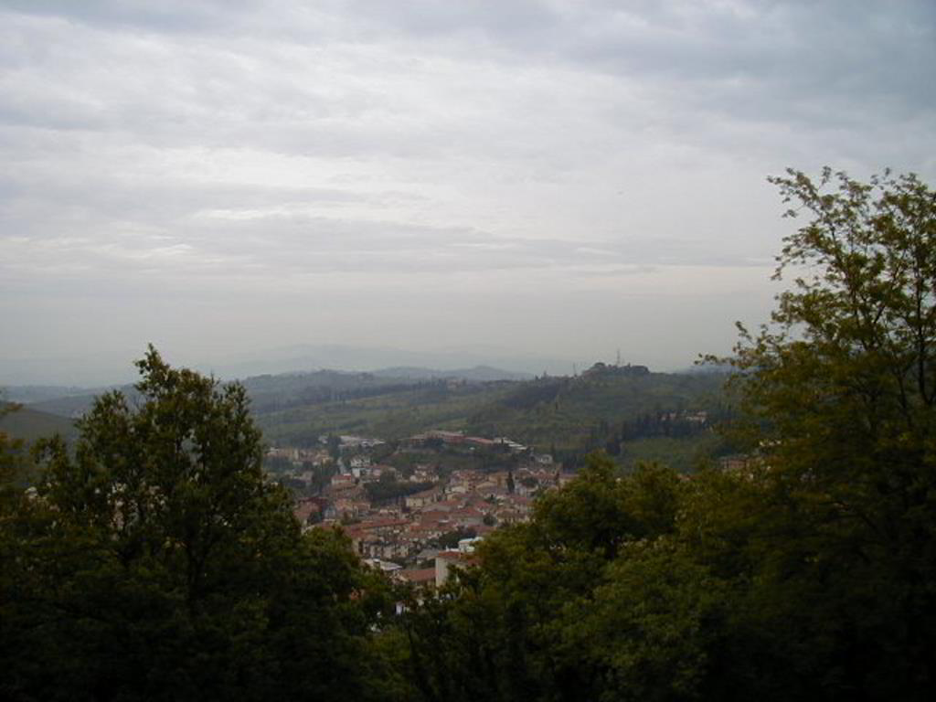 Back