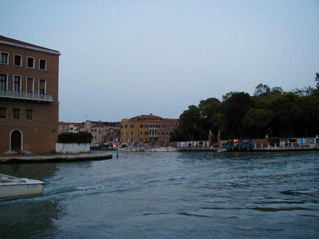 Back