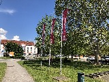 Klicken Sie auf das Bild, um es zu vergr&ouml;&szlig;ern