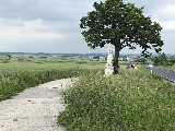 Klicken Sie auf das Bild, um es zu vergr&ouml;&szlig;ern