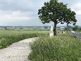Klicken Sie auf das Bild, um es zu vergr&ouml;&szlig;ern