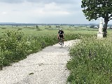 Klicken Sie auf das Bild, um es zu vergr&ouml;&szlig;ern