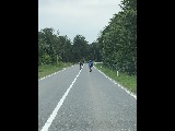 Klicken Sie auf das Bild, um es zu vergr&ouml;&szlig;ern