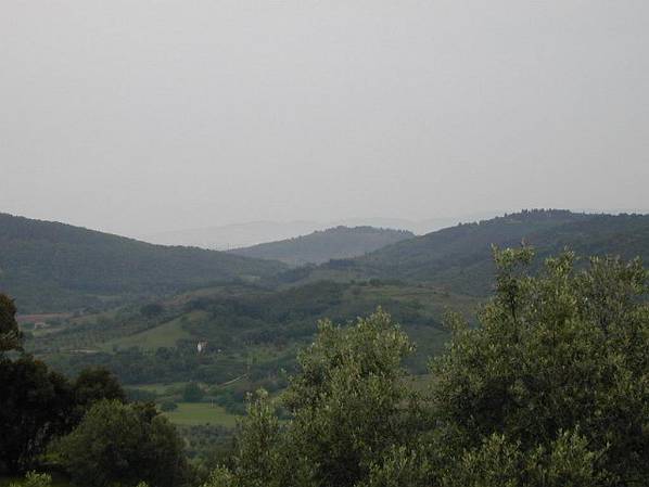 Original image