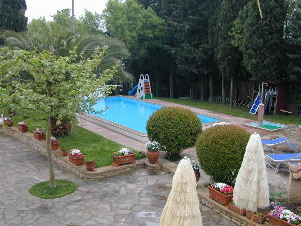 Back