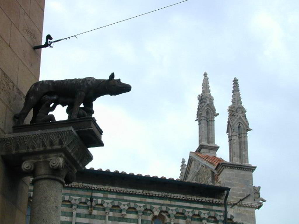 Back