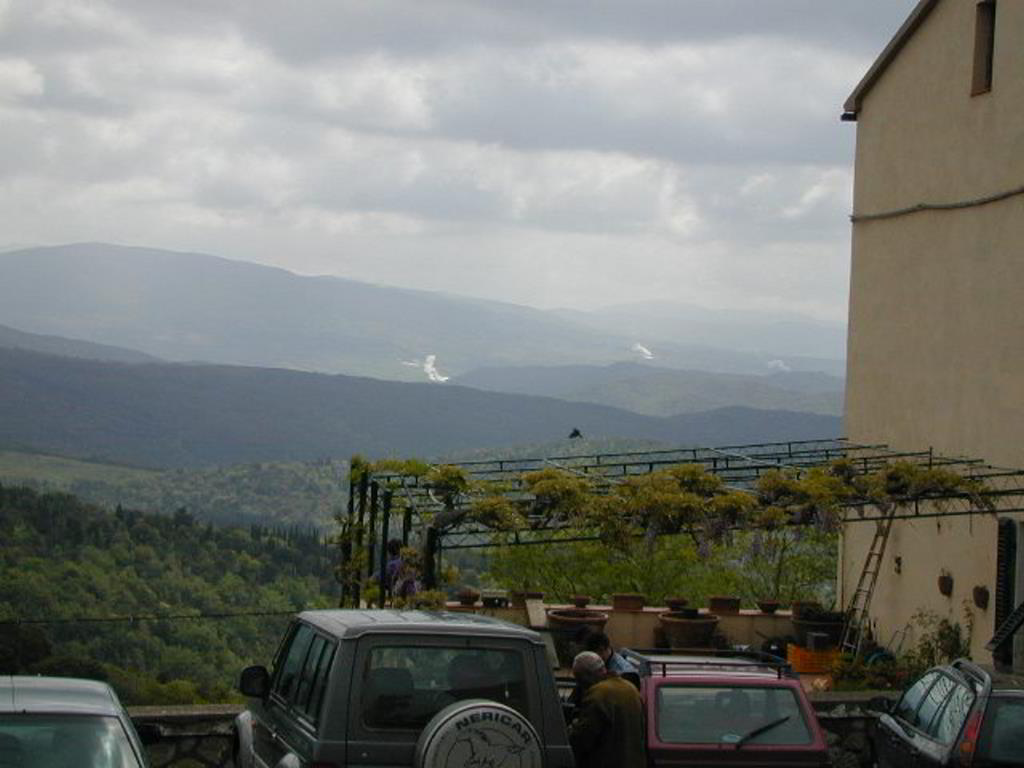 Back