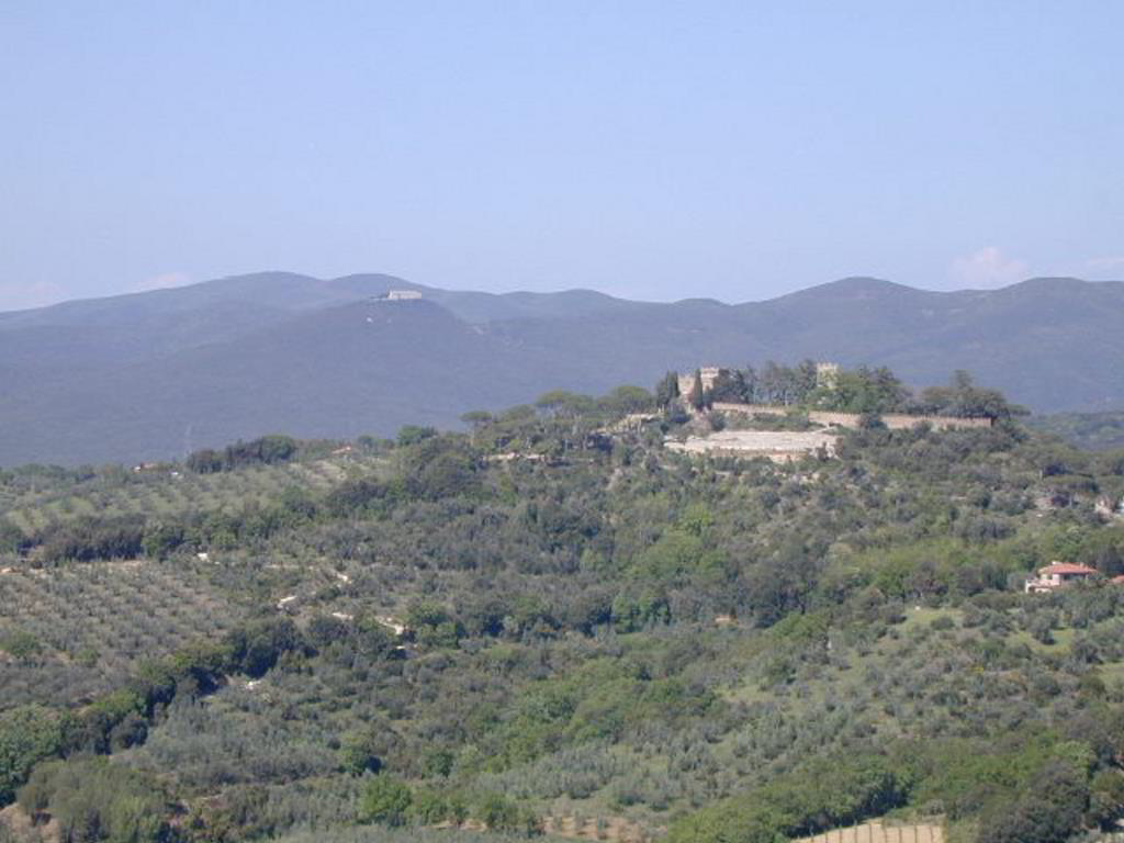 Back