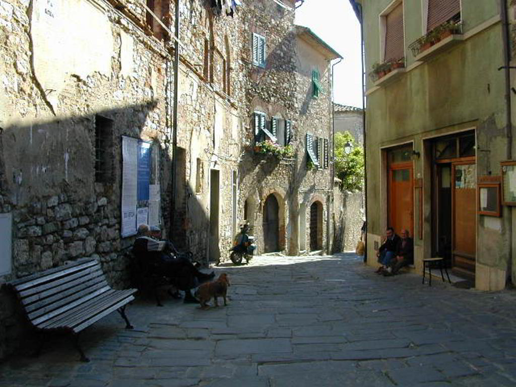 Back