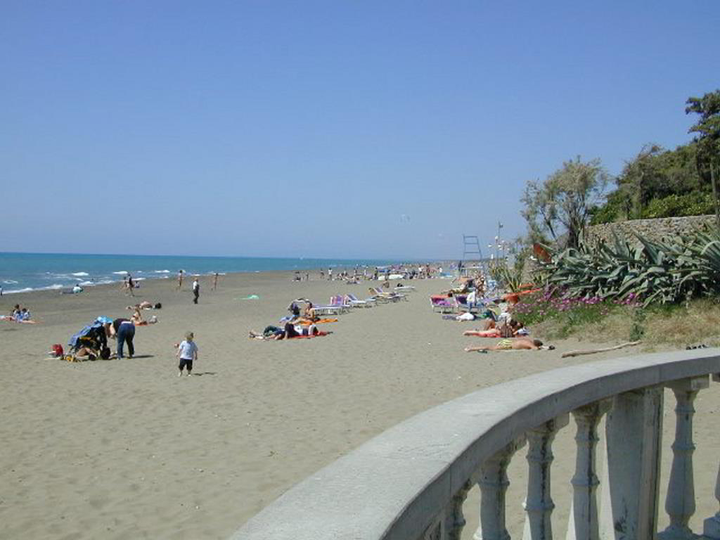 Back